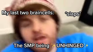 The DSMP being ✨UNHINGED✨ for 4 minutes and 33 seconds [upl. by Gintz47]