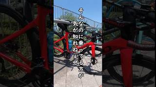 最幸60万円カーボンロードバイク愛車紹介🚴PINARELLO PRINCE × フラットペダル × プレゼント企画ステッカーの合言葉なぁぜなぁぜ？コスパ最強カスタム [upl. by Eseret969]