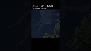 황소자리  직접찍고 확대 해보았습니다 Aldebaran Hyades of Taurus shorts bgm  별멍 [upl. by Nnoryt116]