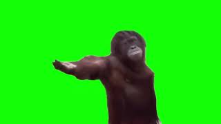 Demanding Monkey Meme HD GREEN SCREEN [upl. by Missak502]