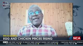 Bird Flu Outbreak  Egg and chicken prices rising [upl. by Ardnekan7]