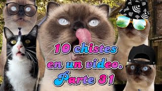 10 chistes en un video Parte 31 ❤️😻😍 [upl. by Schafer]