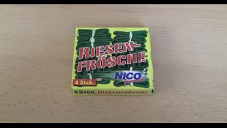 Nico Riesen Frösche graue Lunte [upl. by Eadrahs]