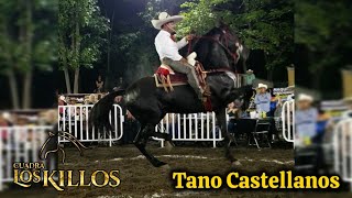 Tano Castellanos y Ranchero FeriadeTodoslosSantos2023 [upl. by Toogood]