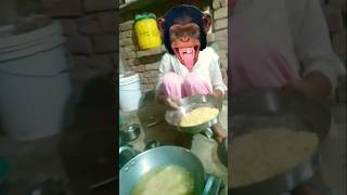 🤑🤑🤣Bande💥💥😍r mama pahan🤑💥 pajama🤪😄😋🤑💞💥😍😍tranding songviralvideo [upl. by Cyma]