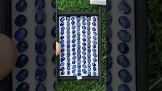 So Beautiful🥰 blue💙Sapphires faceted lot available for good👍 pricerealsapphiregemstore gemsstock [upl. by Meekahs]