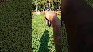 Target practice Shooting with a 357 Magnum revolver newshooter targetpractice magnum revolver357 [upl. by Alegna]