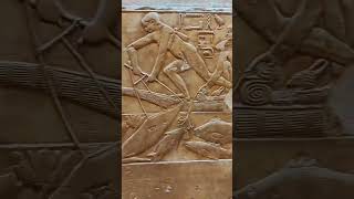 Sakkara tombs Fishing 🎣 egypt ancientegypt history pyramids travel highlights youtubeshorts [upl. by Aaberg]