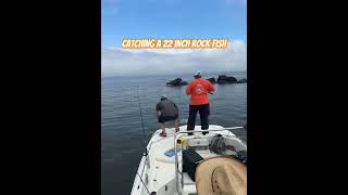 Catching a 22 inch Rock Fish on the Stoney Creek in Maryland [upl. by Atlanta]