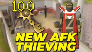 I Opened 100 House Keys For The NEWEST Thieving Method Guide House Keys [upl. by Aiduan]