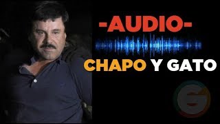 El Chapo y El Gato hablan sobre la AFI JuicioChapo [upl. by Oguh]