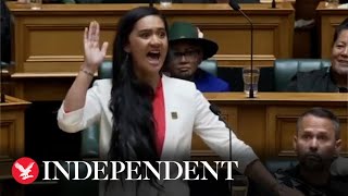 New Zealand MP performs haka in powerful maiden speech resurfaced video shows [upl. by Aihsenot488]