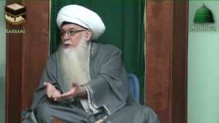 Mawlana Shaykh Muhammad Hisham Kabbani You Will See Prophet s According to Your Capacity [upl. by Fineberg]