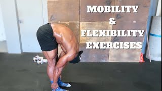 ESSENTIAL MOBILITY EXERCISES YOU SHOULD BE DOING  Improve Mobility and Reduce pain [upl. by Samara658]