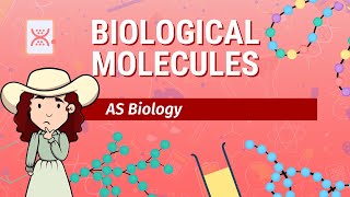 Intro to Biological Molecules  Biological Molecules  A Level Biology 9700 [upl. by Stoffel509]