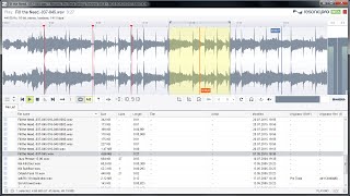 Fast Slicing in Resonic Pro Preview [upl. by Blackman]