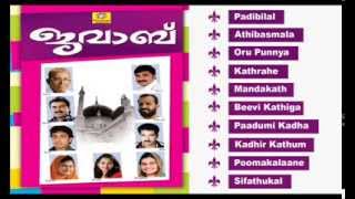 Mappila Hits of Abid Kannur  Non Stop Malayalam Mappilapattukal  Mappila Songs [upl. by Cirilo]