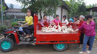 Use highpowered 4wheel offroad vehicles harvesting ducks to lay eggs for sale in the village [upl. by Aziar]