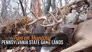 Tips on Hunting Pennsylvania State Game Lands [upl. by Ahsiemak514]