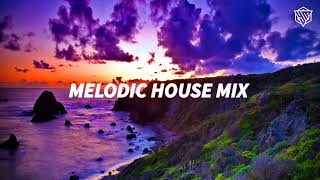 Melodic House Mix 2024 by Rayasa  Ben Böhmer Yotto Tinlicker Jan Blomqvist [upl. by Yrrac424]