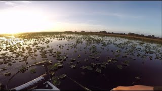 Fishing Florida Swamps For Big Bass [upl. by Patrick]