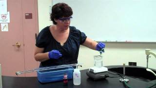 How to Perform an Endospore Stain [upl. by Ovatsug730]