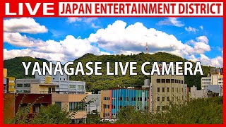 【LIVE】岐阜市 ライブカメラ Gifu Yanagase LIVE camera [upl. by Annelak359]