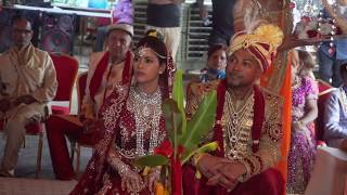 Indian Wedding in Trinidad and Tobago [upl. by Danielle621]