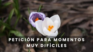 Oración para momentos muy difíciles [upl. by Euqinna]