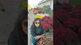 BOTANICAL GARDEN BransonFamilyBeautiful Flowers 🌹 USATelugu vlogs 😀 [upl. by Achilles368]