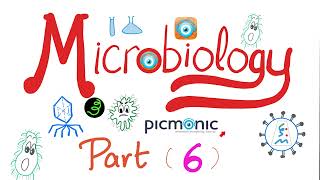 Microbiology  Moraxella catarrhalis Neisseria gonorrheae Neisseria meningitidis Picmonic Part 6 [upl. by Nevs]