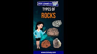 Types of Rocks  Igneous Sedimentary Metamorphic Rocks  Geography  Science shorts [upl. by Ynohtnaed901]