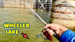 Catching fish at GUNTERSVILLE DAM on the TENNESSEE RIVER [upl. by Seroled]