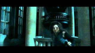 Harry Potter and the Deathly Hallows part 1  Bellatrixs reign of terror at Malfoy Manor part 1 [upl. by Ecirtnahs]