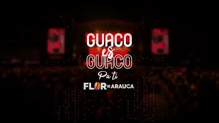 GUACO ES GUACO  Pa ti [upl. by Zawde]