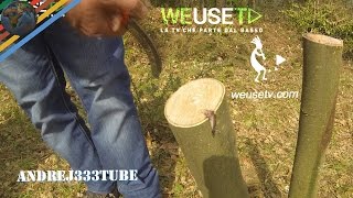 Innesto a triangolo su castagno selvatico parte 4 di 5  Tecniche di innesto su alberi da frutto [upl. by Eittik550]