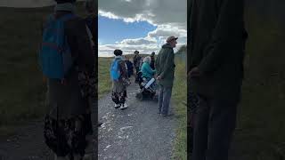 Big Kent Bird Migration Day at Samphire Hoe [upl. by Flosi]