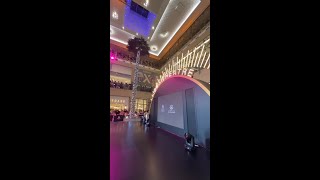 Dubai Summer Surprises [upl. by Ayanad]