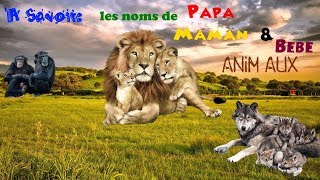 À Savoir les noms de Papa Maman amp Bébé Animaux [upl. by Zednanreh]