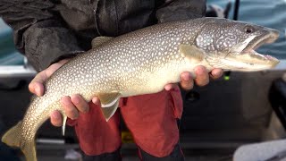 Fantastic Lake Trout Fishing In Cheboygan [upl. by Garfield794]