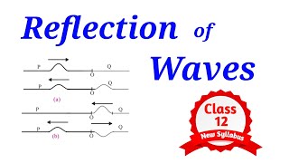 Reflection of waves  Transverse amp Longitudinal  Superposition of Waves  Class 12 HSC  Physics [upl. by Yticilef648]