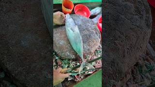 Wow Skipjack tuna fish cutting skills 🔥 shorts tunacutting [upl. by Silbahc]