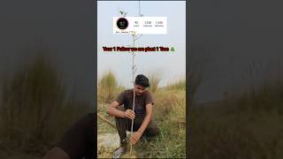 Your 1 Subscribe we are planting 1 tree  shortsfeed trees tree shorts shortsvideo [upl. by Alletniuq]