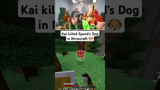 KAI KILLED SPEEDS DOG IN MINECRAFT🐶 minecraft ishowspeed kaicenat [upl. by Guimar]