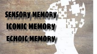 Sensory Memory Iconic Memory amp Echoic Memory [upl. by Lay]