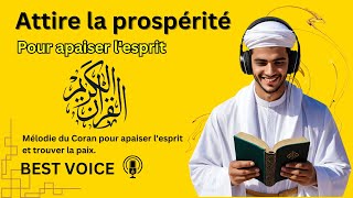 Voix paisible Sourate Waqiah Voix Relaxante pour Apaiser lAnxiété et Calmer lEsprit [upl. by Alletse206]