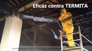 TERMITA y CARCOMA Tratamiento de la madera con GEL [upl. by Einolem]