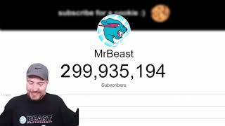 mrbeast 300 million celebration 😍😃 [upl. by Einnaej688]