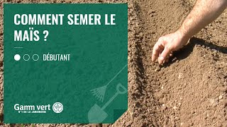 TUTO Comment semer le maïs   Jardinerie Gamm vert [upl. by Gwenette578]