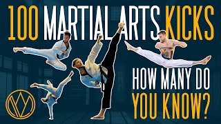 100 DIFFERENT KICKS  FOC Kicktionary  Taekwondo Karate Capoeira Tricking Martial Arts [upl. by Irina632]